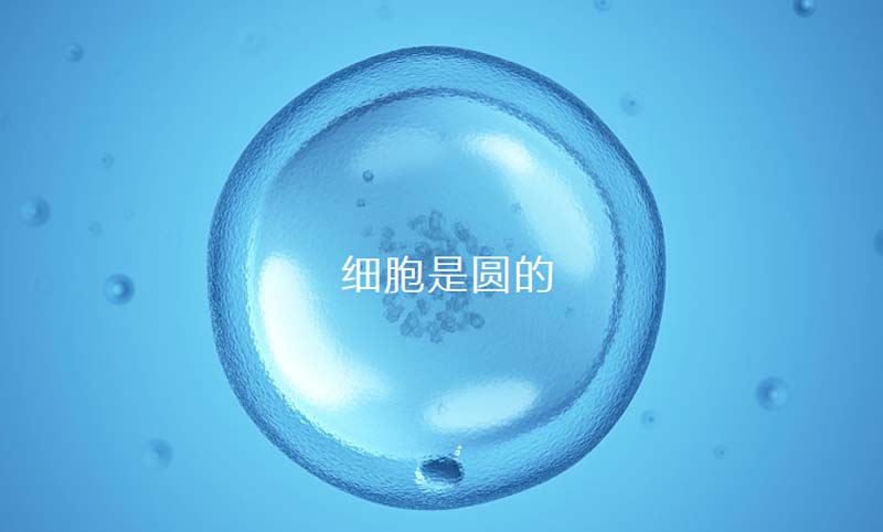 中至生物：大道至簡·品牌百萬級LOGO升級引爆品牌氣質(zhì)！