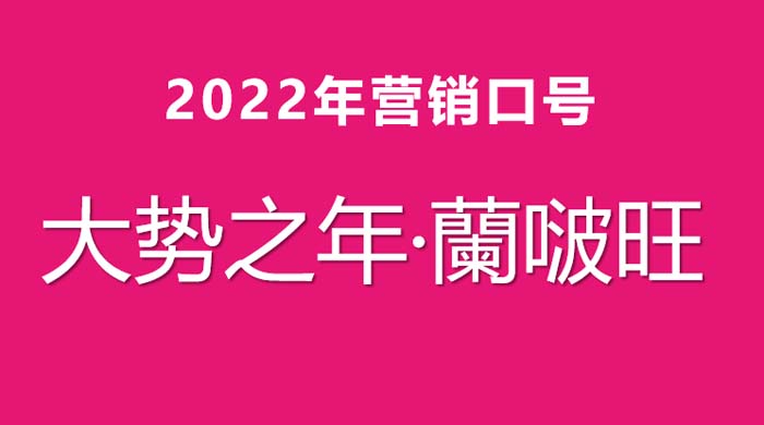歐賽斯超級品牌引擎® 新冠軍商業(yè)實戰(zhàn)案例:蘭啵旺